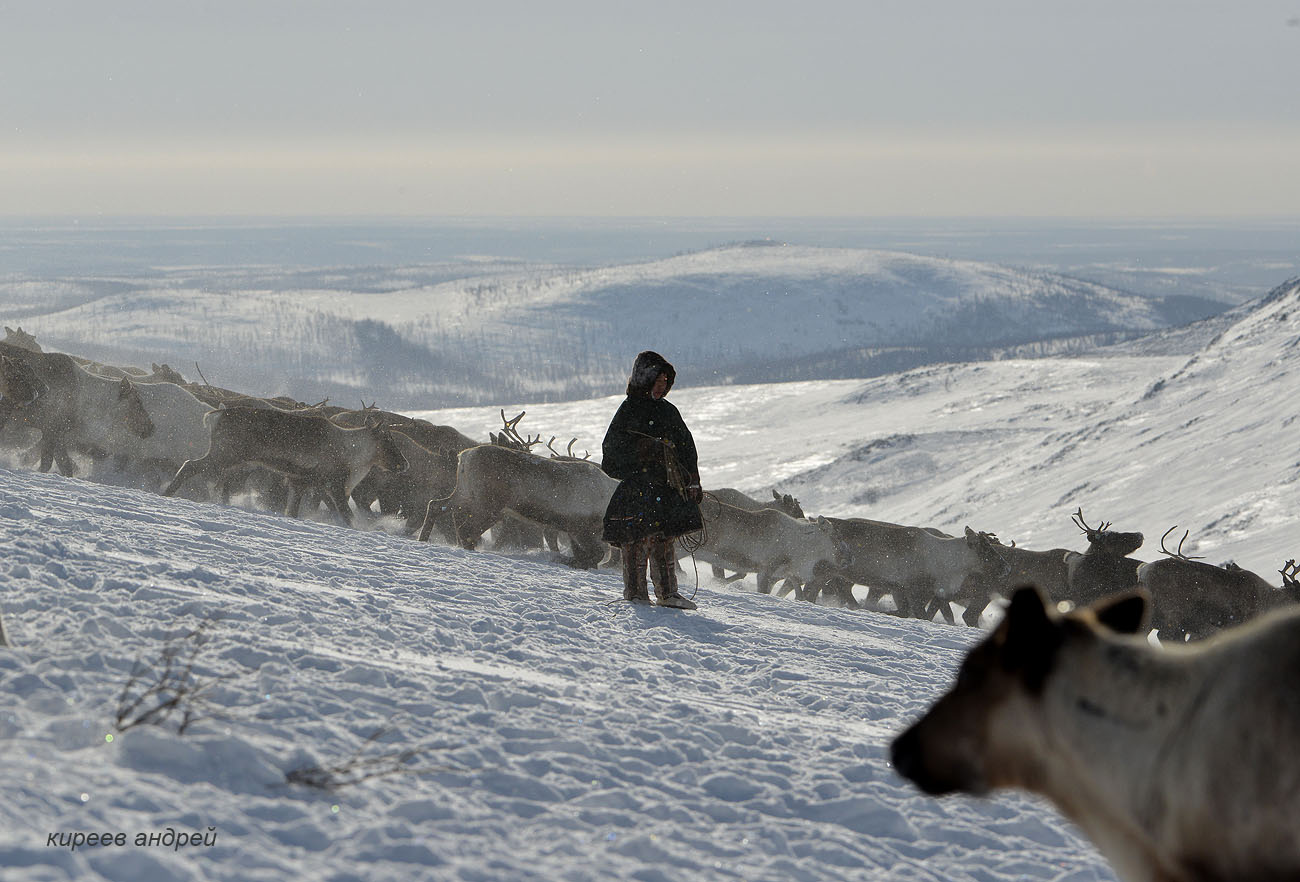 Yamal (Ямал)